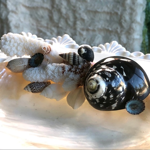 Black Seashell Coral Seashell Soap Jewelry Holder - Picture 2 of 5